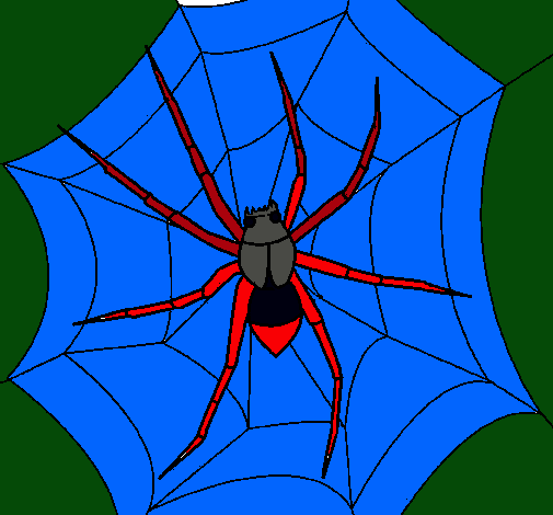 Araña