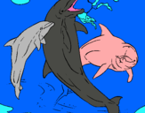 Dibujo Delfines jugando pintado por Yolima