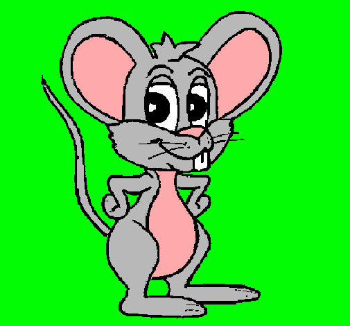 Ratón