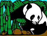 Dibujo Oso panda y bambú pintado por fantatastic