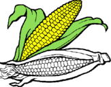 Dibujo Mazorca de maíz pintado por Annyttta