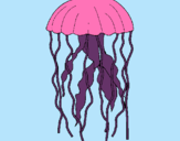 Dibujo Medusa pintado por kumilla