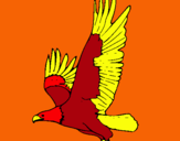 Dibujo Águila volando pintado por gunm lo9ci