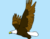 Dibujo Águila volando pintado por Aguilacalva