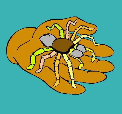 Tarántula