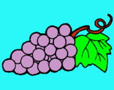 Dibujo racimo pintado por Uvas