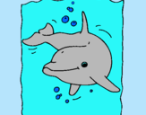 Dibujo Delfín pintado por Nuvia