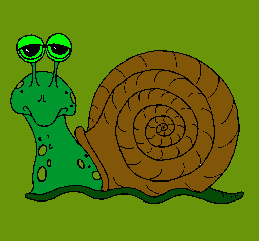 Caracol