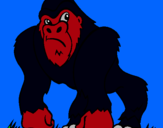Dibujo Gorila pintado por NACHOL