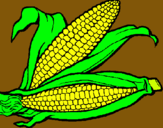 Dibujo Mazorca de maíz pintado por eameralda12