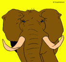 Dibujo Elefante africano pintado por danna-------