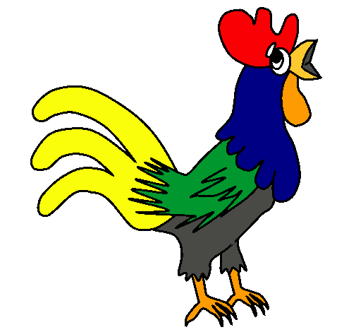 Gallo