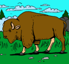 Dibujo Búfalo  pintado por Bufalo