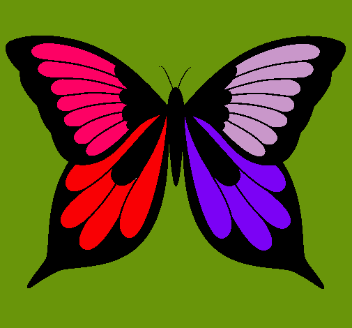 Dibujo Mariposa 8 pintado por yiniva