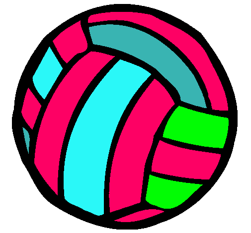 Pelota de voleibol