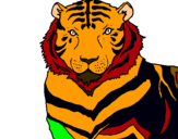 Dibujo Tigre pintado por YUYIO72