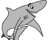 Dibujo Tiburón alegre pintado por lucia3