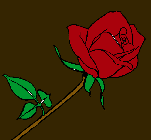 Rosa