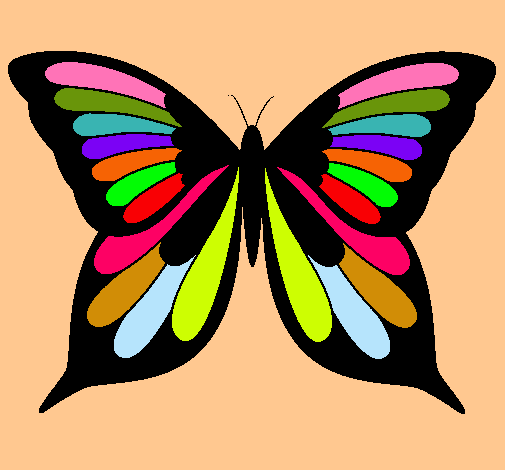 Mariposa