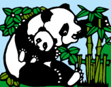 Dibujo Mama panda pintado por PANDITA-VM