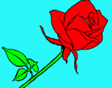 Dibujo Rosa pintado por nurisam13