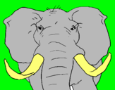 Dibujo Elefante africano pintado por enanin