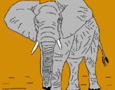Dibujo Elefante pintado por jigante