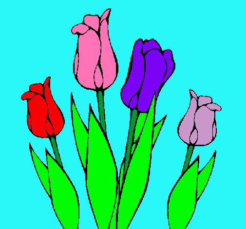 Tulipanes