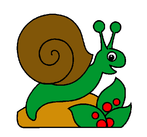 Caracol