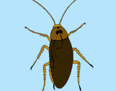 Dibujo Cucaracha grande pintado por checko