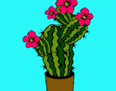 Dibujo Flores de cactus pintado por captus