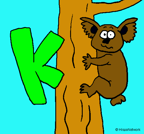 Koala