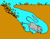 Dibujo Canguro rata pintado por eeve
