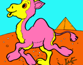 Dibujo Camello pintado por valeriako