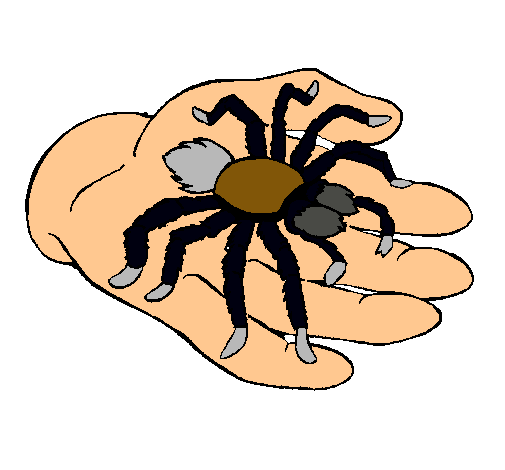 Tarántula