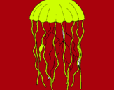 Dibujo Medusa pintado por enanin