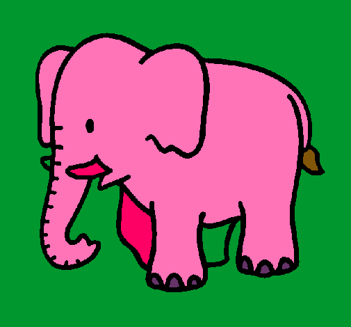 Elefante bebe