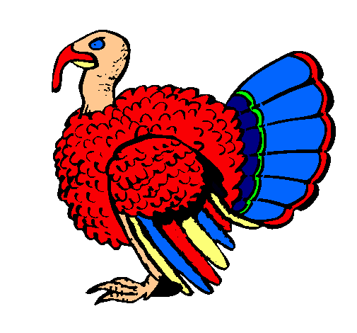 Pavo 