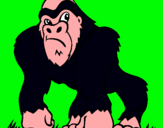 Dibujo Gorila pintado por cardiel