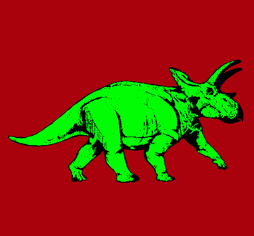 Triceratops