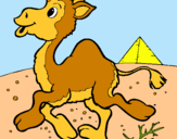 Dibujo Camello pintado por camelo