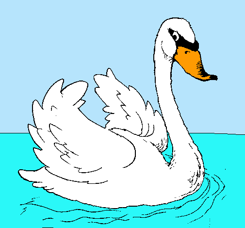 Cisne en el agua