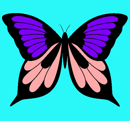 Mariposa