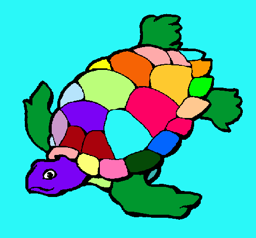 Tortuga