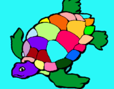 Dibujo Tortuga pintado por catalt