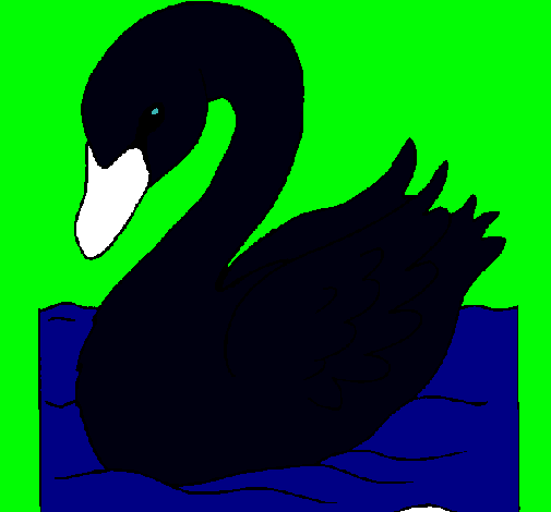 Cisne