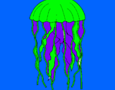 Dibujo Medusa pintado por POPOTIITOSHJ