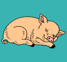 Dibujo Cerdo durmiendo pintado por maikol
