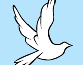 Dibujo Paloma de la paz al vuelo pintado por anatibo