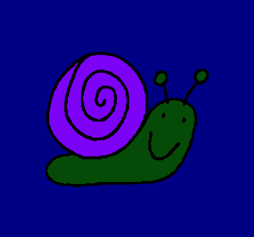 Caracol 4